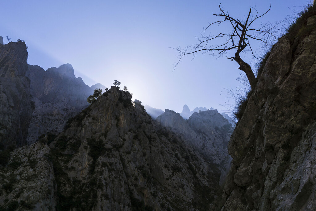 picos-de-europa.jpg